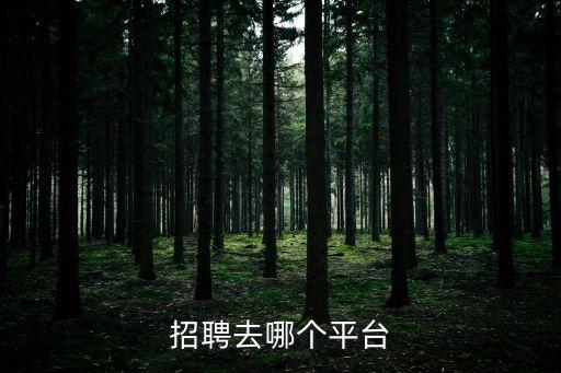 招聘去哪個(gè)平臺(tái)