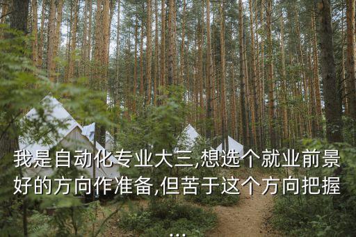 我是自動化專業(yè)大三,想選個就業(yè)前景好的方向作準(zhǔn)備,但苦于這個方向把握...