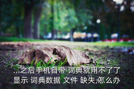...之后手機(jī)自帶 詞典就用不了了顯示 詞典數(shù)據(jù) 文件 缺失,怎么辦