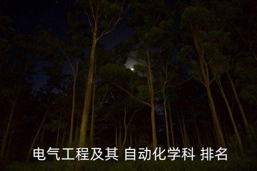  電氣工程及其 自動化學科 排名
