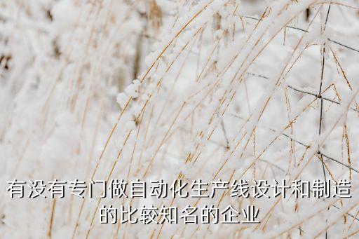 有沒有專門做自動化生產(chǎn)線設(shè)計和制造的比較知名的企業(yè)