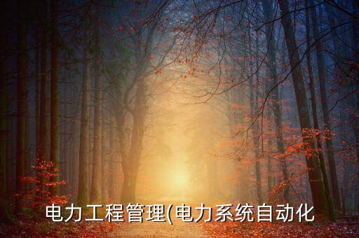 電力工程管理(電力系統(tǒng)自動(dòng)化