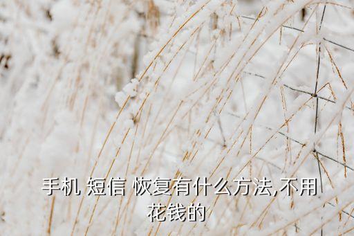  手機(jī) 短信 恢復(fù)有什么方法,不用花錢(qián)的