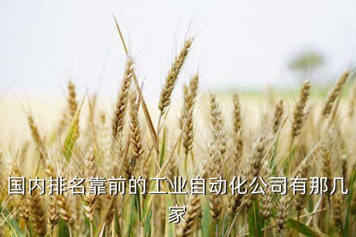 國(guó)內(nèi)排名靠前的工業(yè)自動(dòng)化公司有那幾家