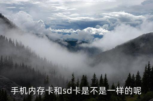 數(shù)據(jù)內(nèi)存卡,內(nèi)存卡格式化后能恢復(fù)數(shù)據(jù)嗎?