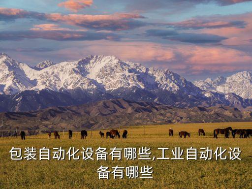 銅管包裝自動化設備有哪些,工業(yè)自動化設備有哪些?