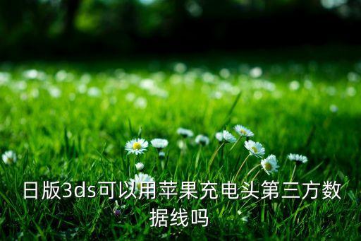 日版3ds可以用蘋果充電頭第三方數(shù)據(jù)線嗎