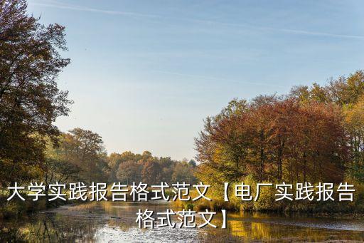 大學實踐報告格式范文【電廠實踐報告格式范文】