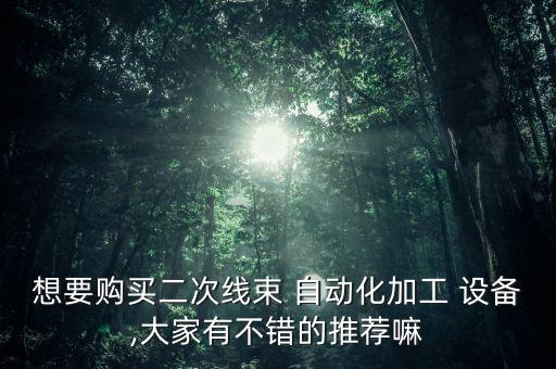 想要購買二次線束 自動化加工 設(shè)備,大家有不錯的推薦嘛