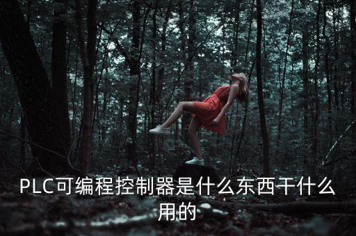 PLC可編程控制器是什么東西干什么用的