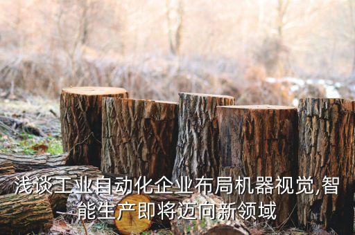 淺談工業(yè)自動(dòng)化企業(yè)布局機(jī)器視覺,智能生產(chǎn)即將邁向新領(lǐng)域