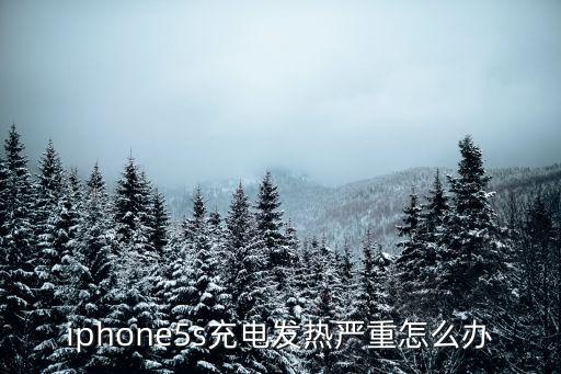 iphone5s充電發(fā)熱嚴(yán)重怎么辦