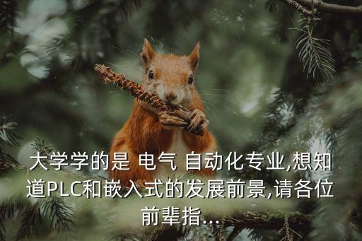 大學(xué)學(xué)的是 電氣 自動化專業(yè),想知道PLC和嵌入式的發(fā)展前景,請各位前輩指...