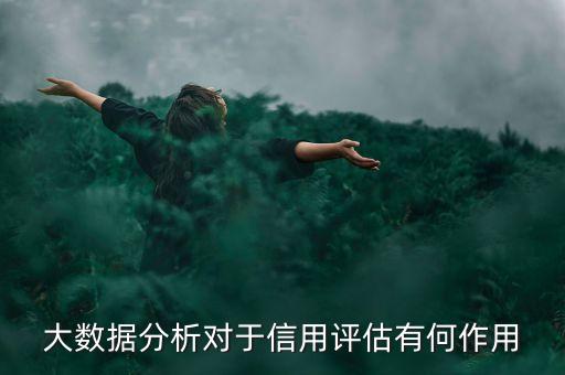 大數(shù)據(jù)分析對(duì)于信用評(píng)估有何作用