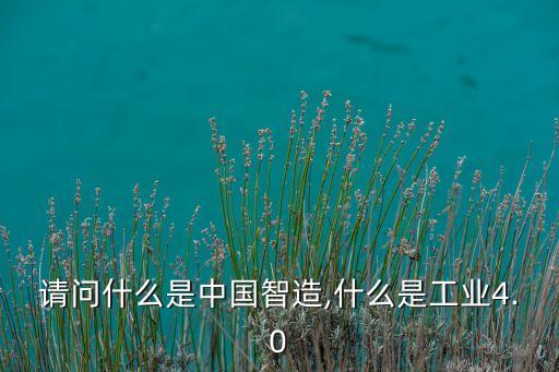請(qǐng)問什么是中國(guó)智造,什么是工業(yè)4.0