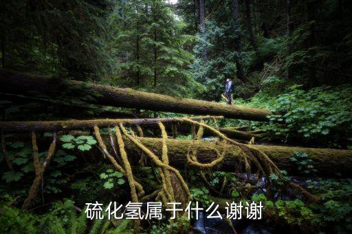 硫化氫屬于什么謝謝