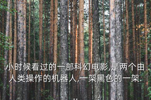 小時(shí)候看過(guò)的一部科幻電影,是兩個(gè)由人類(lèi)操作的機(jī)器人,一架黑色的一架...