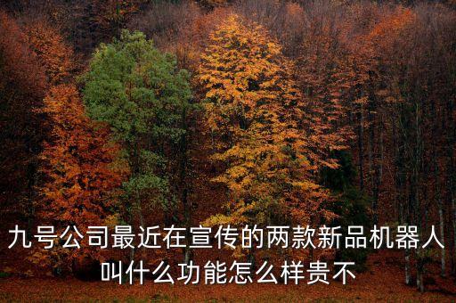 九號(hào)公司最近在宣傳的兩款新品機(jī)器人叫什么功能怎么樣貴不