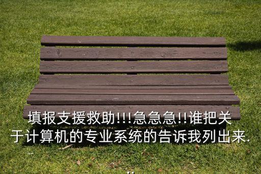 填報支援救助!!!急急急!!誰把關(guān)于計算機的專業(yè)系統(tǒng)的告訴我列出來...