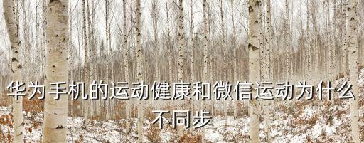 手機(jī)運(yùn)動(dòng)數(shù)據(jù)同步,iwatch怎么同步手機(jī)運(yùn)動(dòng)數(shù)據(jù)?