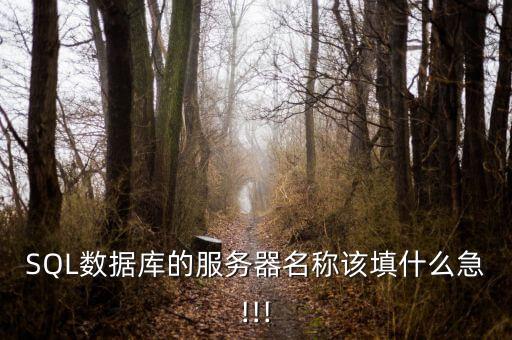系統(tǒng)的數(shù)據(jù)庫服務器,數(shù)據(jù)服務器包括數(shù)據(jù)庫和應用程序