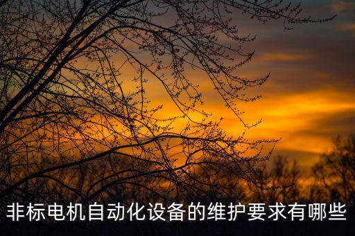 非標(biāo)電機(jī)自動(dòng)化設(shè)備的維護(hù)要求有哪些