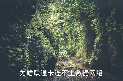 聯通手機開數據連接失敗,手機無法連接到4g網絡什么原因?