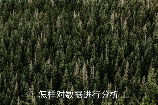 怎樣對數(shù)據(jù)進行分析