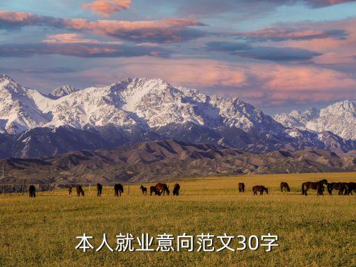 電氣自動(dòng)化求職意愿怎么寫