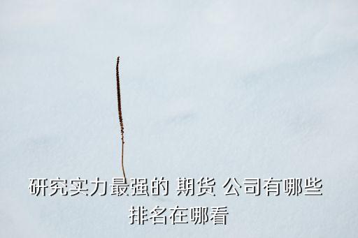 研究實力最強的 期貨 公司有哪些 排名在哪看