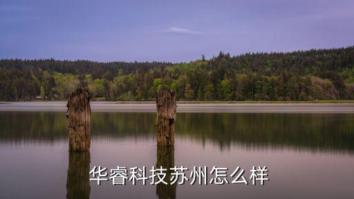 深圳華睿自動化有限公司,珠海華睿自動化科技有限公司
