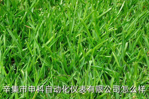 自動化儀表生產公司,上海自動化儀表股份有限公司的公司簡介