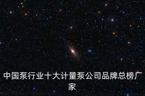 中國(guó)泵行業(yè)十大計(jì)量泵公司品牌總榜廠家