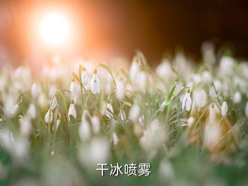 干冰噴霧