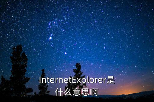 ie是什么意思,什么是ie?