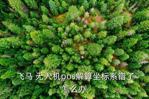  飛馬 無人機(jī)pos解算坐標(biāo)系錯了怎么辦