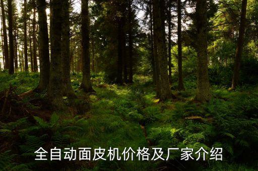 全自動(dòng)面皮機(jī)價(jià)格及廠家介紹