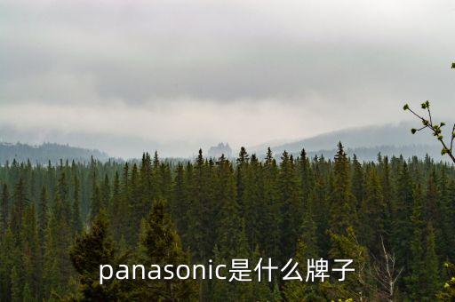 panasonic是什么牌子