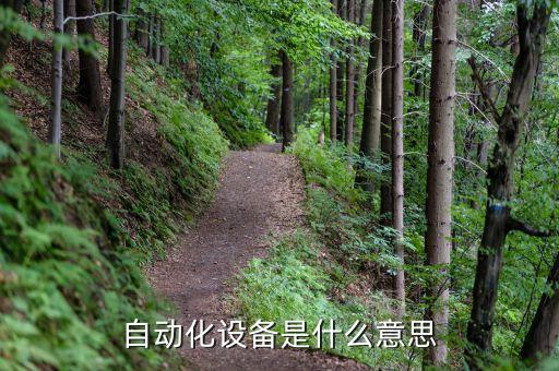 電子自動化機械設(shè)備生產(chǎn)線,自動化生產(chǎn)線的發(fā)展