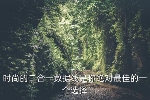 時(shí)尚的二合一數(shù)據(jù)線是你絕對(duì)最佳的一個(gè)選擇