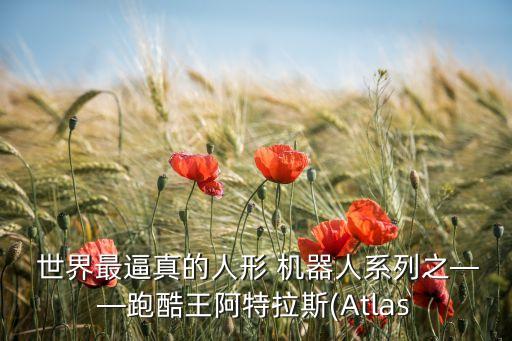  世界最逼真的人形 機器人系列之——跑酷王阿特拉斯(Atlas