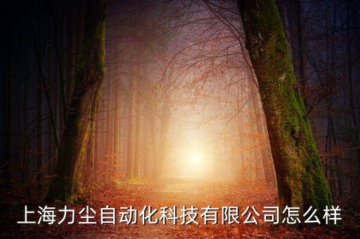 上海力塵自動化科技有限公司怎么樣