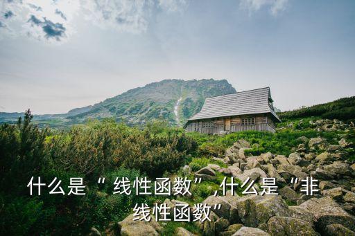 什么是“ 線性函數(shù)”,什么是“非 線性函數(shù)”