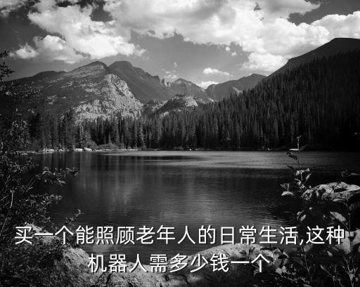 人類機器人多錢,智能機器人多少錢?需要注意什么?