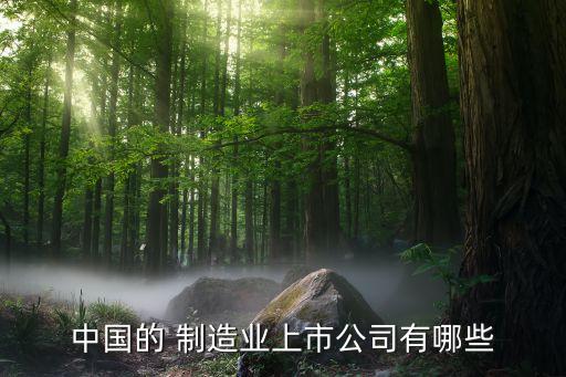 制造企業(yè)有哪些,國(guó)內(nèi)主要的航空制造企業(yè)有哪些