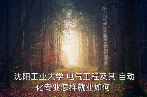  沈陽工業(yè)大學(xué) 電氣工程及其 自動(dòng)化專業(yè)怎樣就業(yè)如何