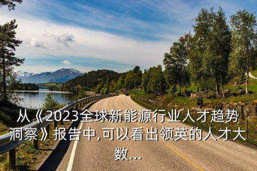 從《2023全球新能源行業(yè)人才趨勢(shì)洞察》報(bào)告中,可以看出領(lǐng)英的人才大數(shù)...