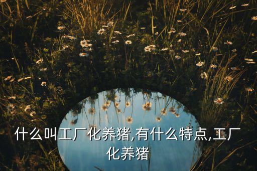 什么叫工廠化養(yǎng)豬,有什么特點(diǎn),工廠化養(yǎng)豬