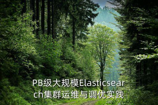 PB級大規(guī)模Elasticsearch集群運維與調(diào)優(yōu)實踐