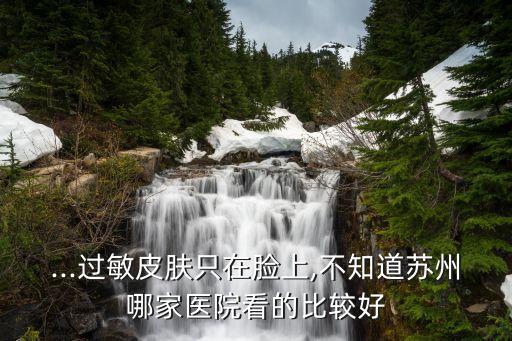蘇州昆菱自動化有限公司,蘇州姑蘇的五大名園